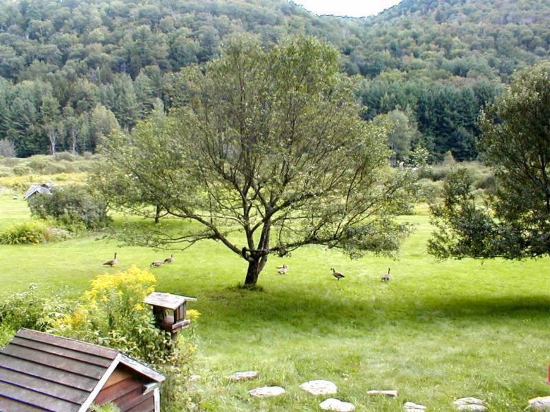 Mountain Valley Retreat Bed & Breakfast Killington Exterior photo